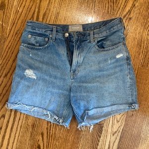 Everlane- the Denim short